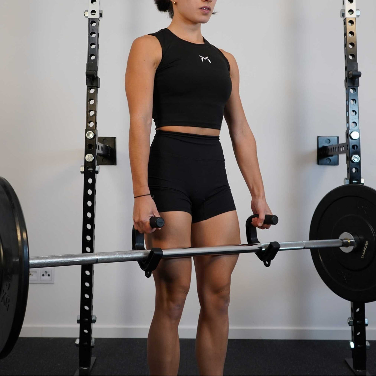 Barbell work with Swissies V2