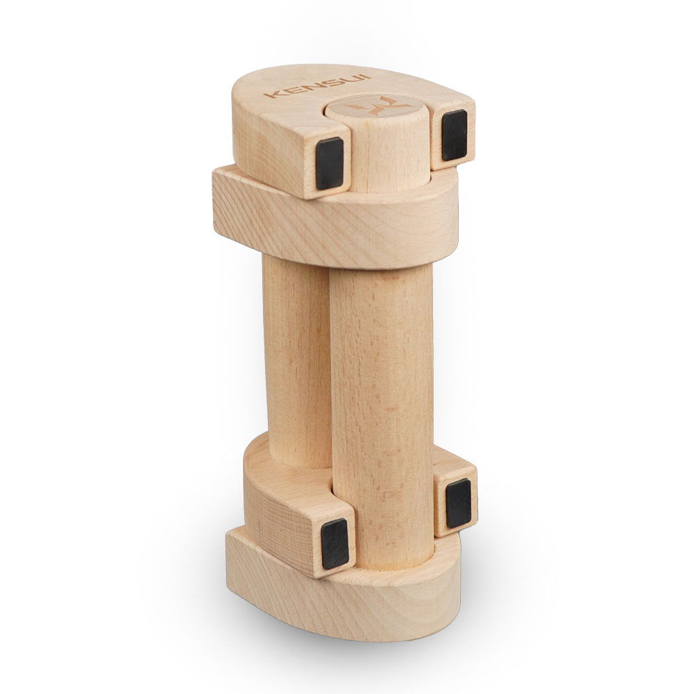 Interlocking parallettes