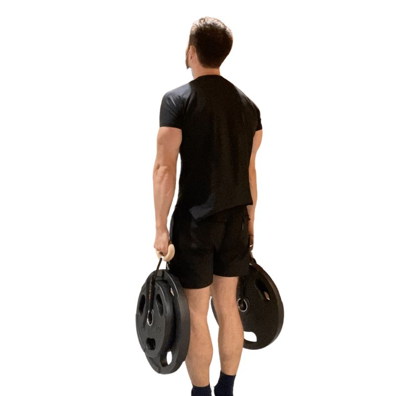 Grow Your Traps