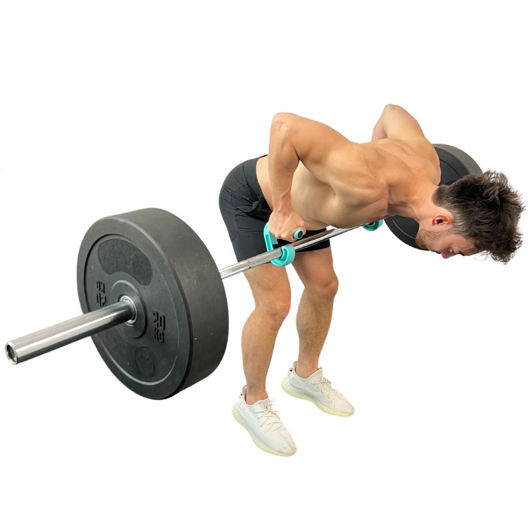 Barbell Rows
