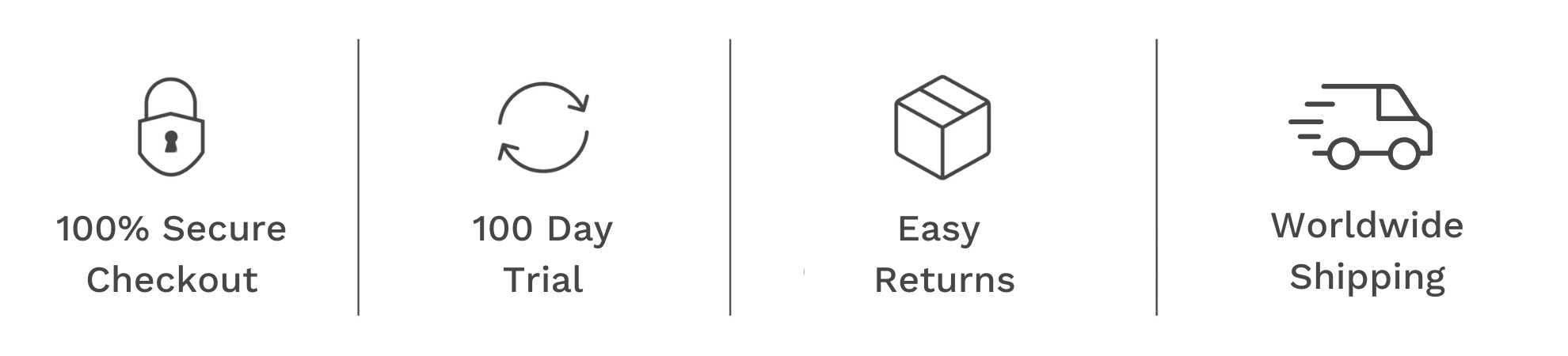 Checkout icons for secure checkout, a 100-day trial, easy returns and worldwide shipping.