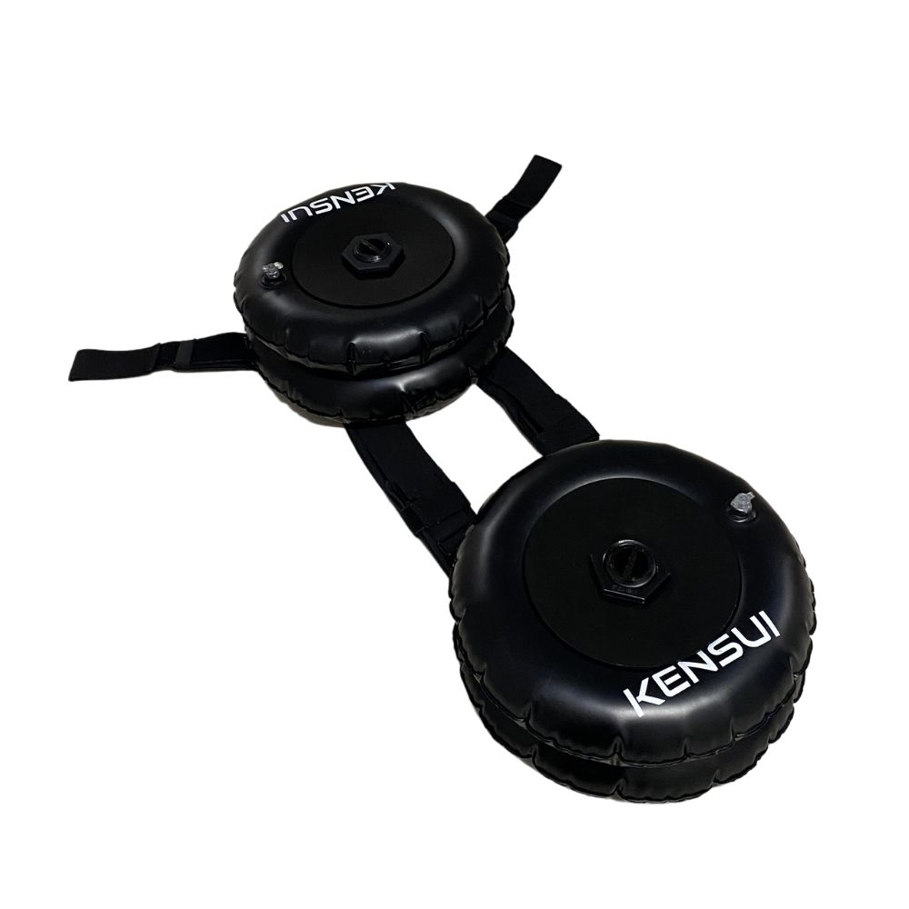 Black EZ-VEST carrying two round Kensui HYDRO plates, shown from above.