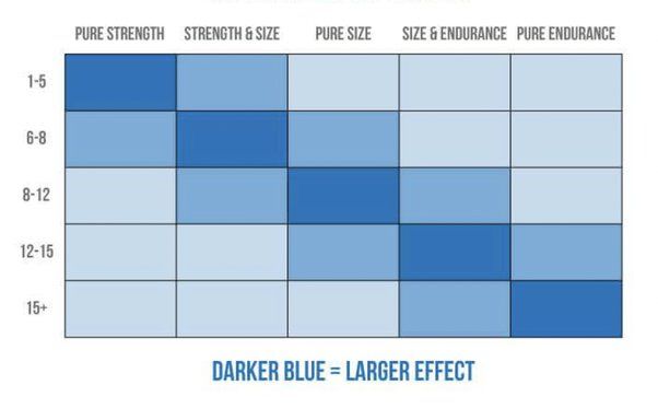 Chart comparing repetition ranges for strength, size and endurance.