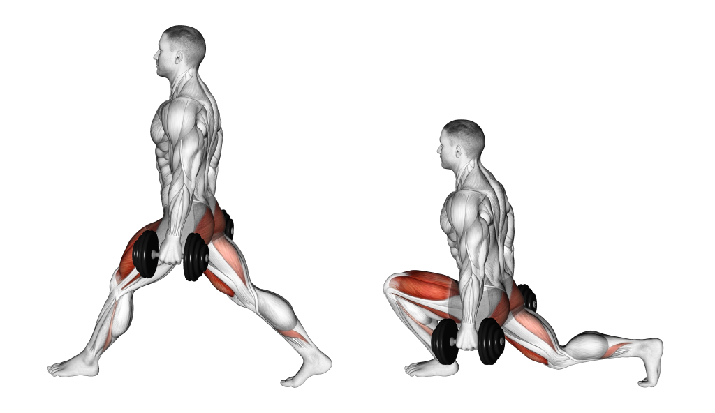 Anatomical illustrations of a dumbbell lunge.